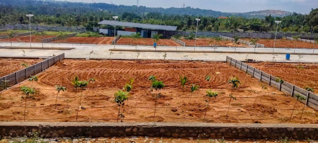 Nairuthya Whispering Wood — Drip-Irrigated Farmland Plots & Internal Roads
