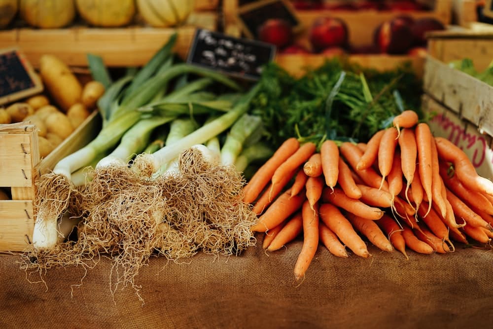 Bountiful fresh seasonal harvest produce gathered with systematic agricultural care