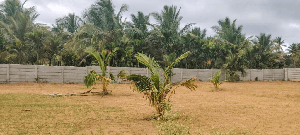 Precast concrete compound wall with green plantation boundary at Coconut Garden in Bidadi