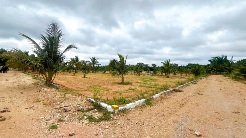 Coconut Garden farm plots layout and internal road network in Bidadi
