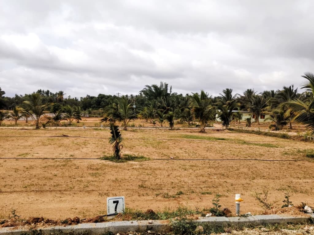 Coconut Garden premium farm plots landscape in Bidadi